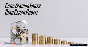 Cara Trading Forex Biar Profit
